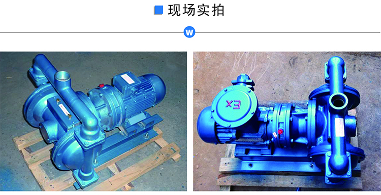 DBY电动隔膜泵实图