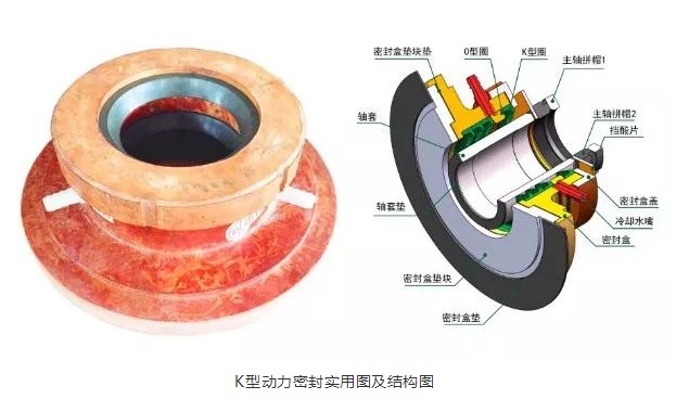 动力密封
